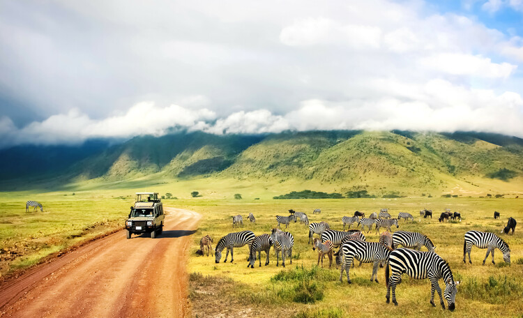 3-days migration safari 