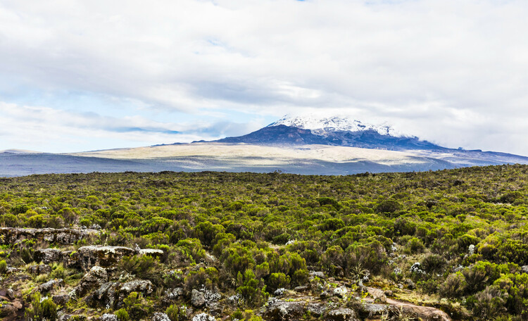 8 days Machame route