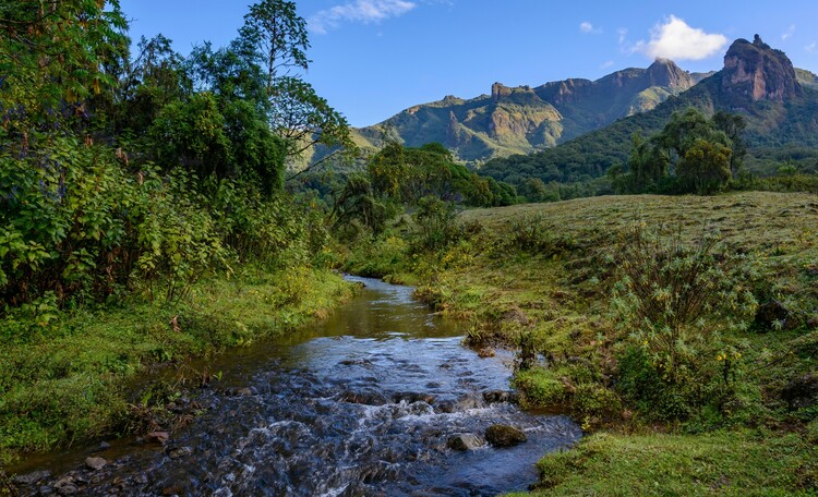 Ethiopian mountain trekking 