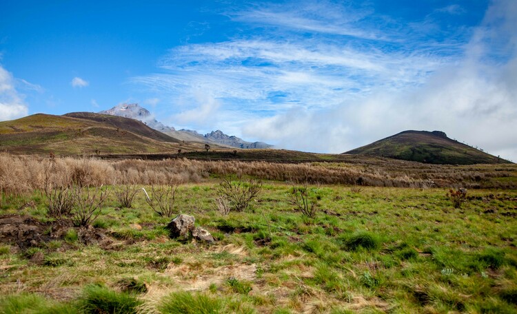 Conquering Mt. Kilimanjaro's Northern Circuit 