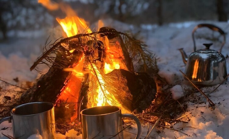 Усадьба «Солнечный дом» 