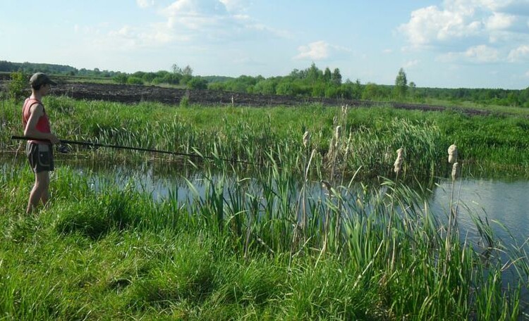 Усадьба Пущанка в Беловежской Пуще