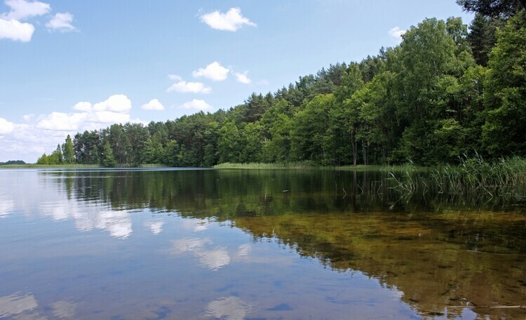 Озеро Струсто, вид с воды на Пантелевский Рог