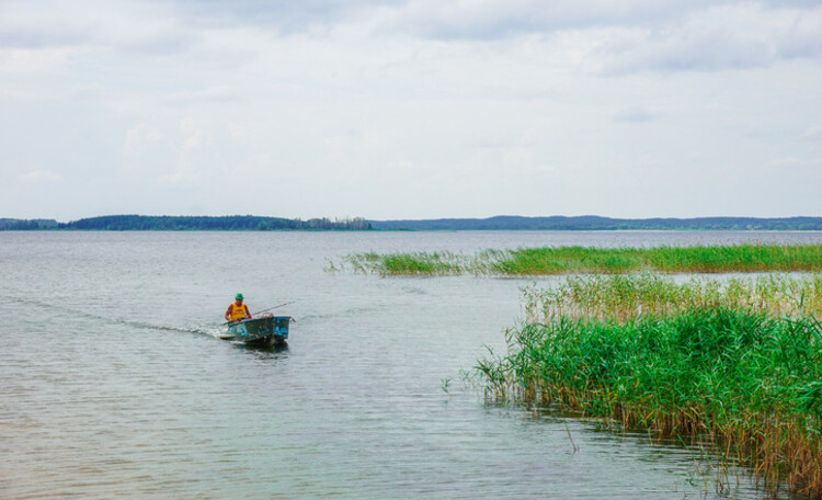 Красногорка