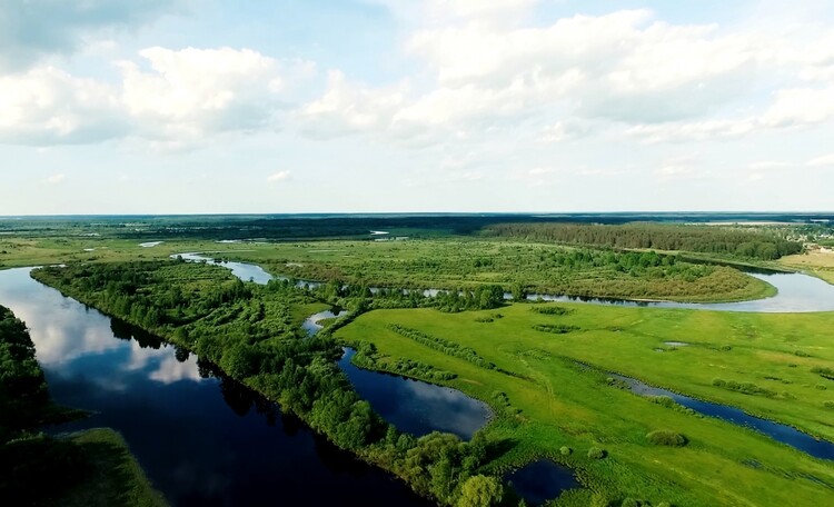 Усадьба «Березинская мечта» у реки